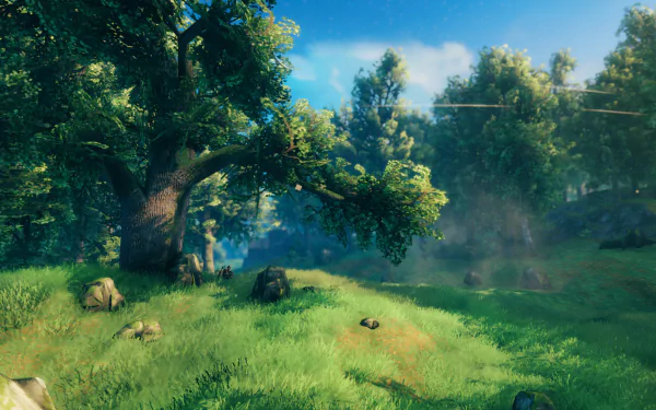 HD desktop wallpaper featuring the lush, sunlit landscape of Valheim with towering trees and misty ambiance.
