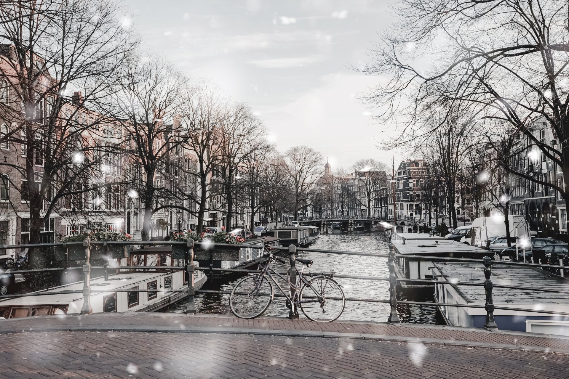4K Ultra HD view of a peaceful Amsterdam canal lined with historic buildings and leafless trees, featuring a bicycle resting against a railing on the bridge.