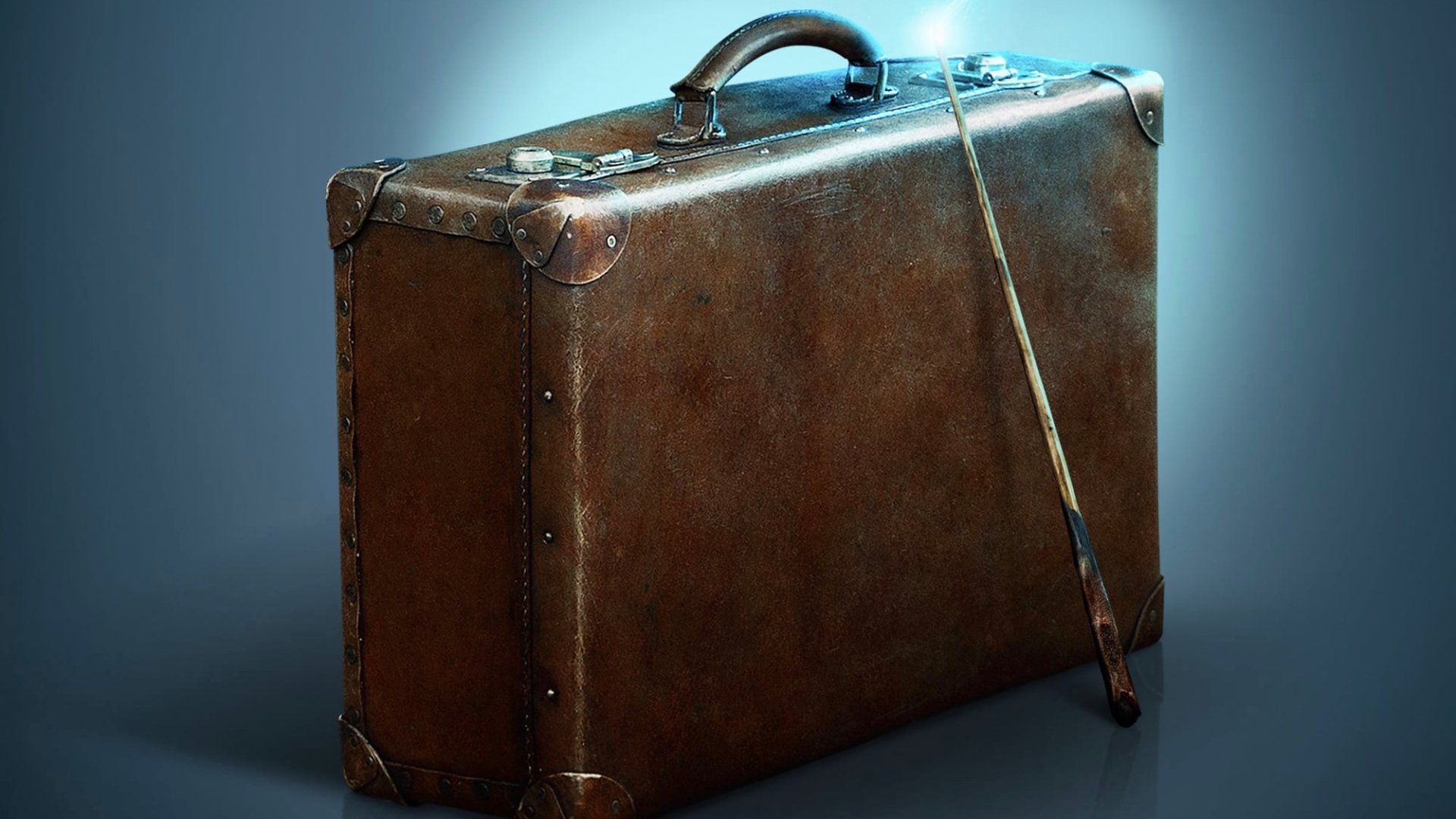 Download Movie Fantastic Beasts And Where To Find Them HD Wallpaper