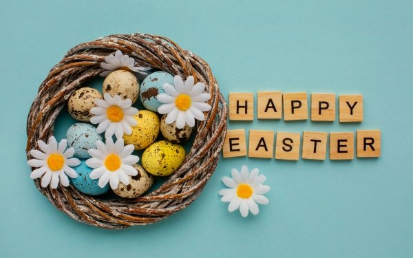 Holiday Easter Egg Camomile Happy Easter HD Wallpaper | Background Image