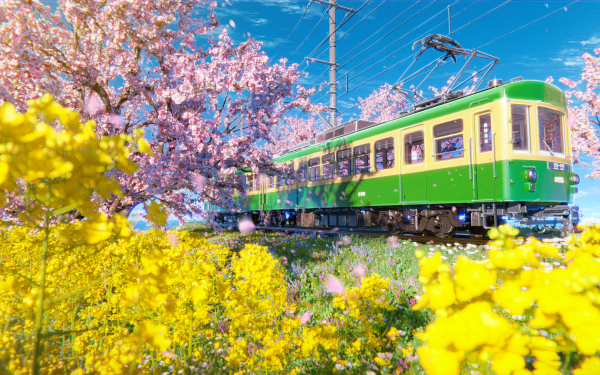 Anime Train Flower Sakura HD Wallpaper | Background Image