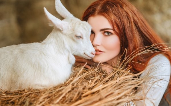 Women Model Models Redhead Lamb HD Wallpaper | Background Image