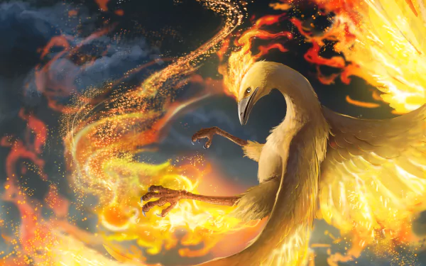 fire Moltres (Pokémon) Anime Pokemon burning HD Desktop Wallpaper | Background Image