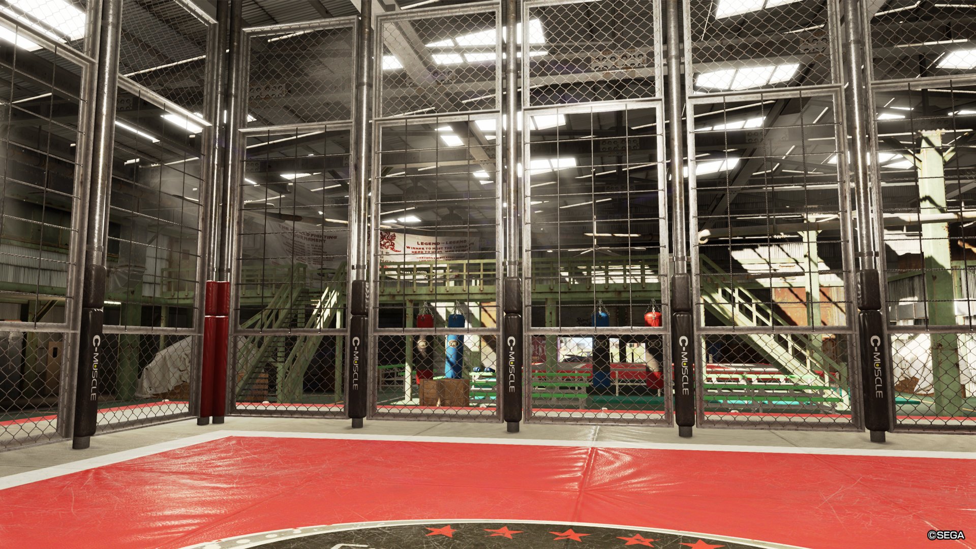 Download Video Game Virtua Fighter 5 Ultimate Showdown HD Wallpaper