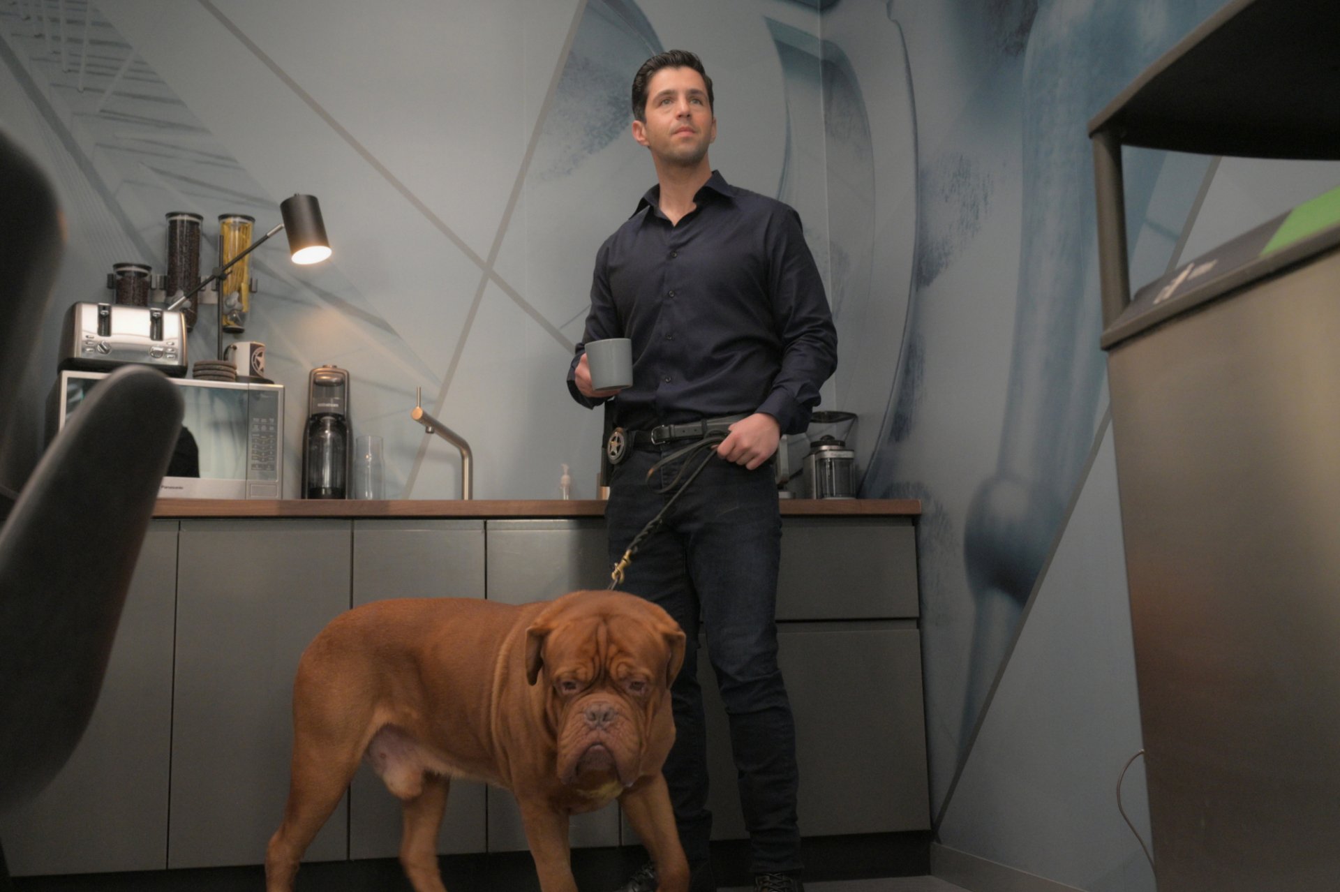 Download Josh Peck Dogue De Bordeaux TV Show Turner & Hooch HD Wallpaper