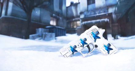  P250 Whiteout