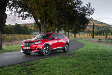  Red 2019 Peugeot 2008
