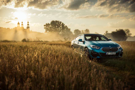  Blue BMW 220i Gran Coupé M Sport Worldwide (F44)