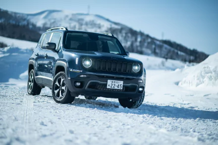  Jeep Renegade Trailhawk 4xe (BU)