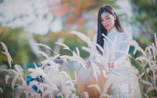 A brunette Asian woman wearing a white Ao Dai and traditional hat poses amidst tall grasses with a soft depth of field in this 4K Ultra HD desktop wallpaper.