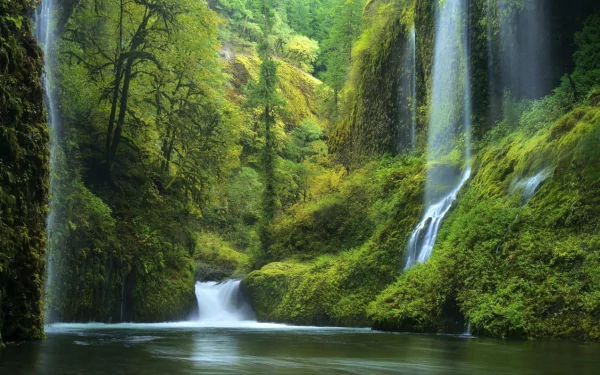 greenery nature waterfall HD Desktop Wallpaper | Background Image