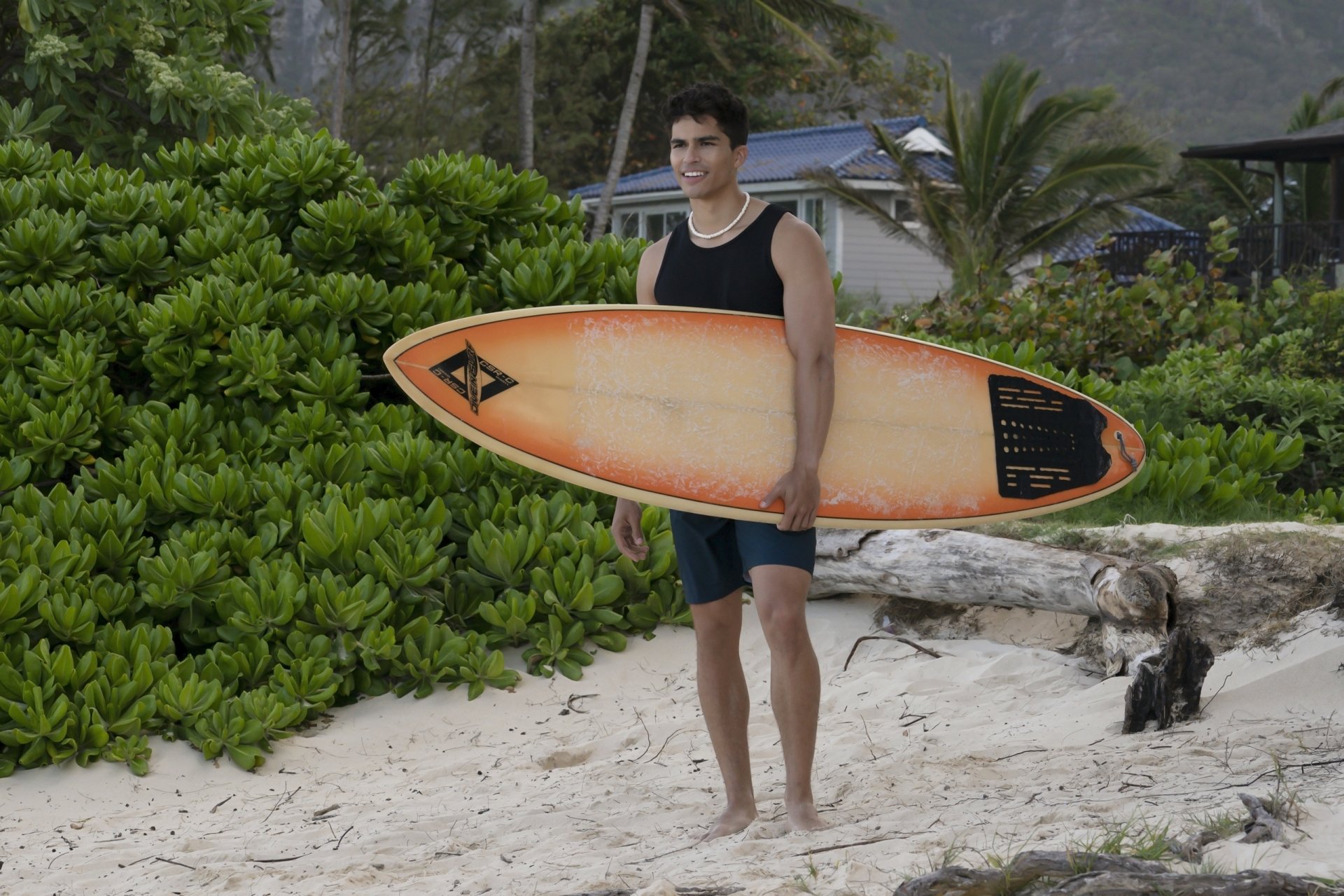 Download TV Show Doogie Kamealoha, M.D. HD Wallpaper