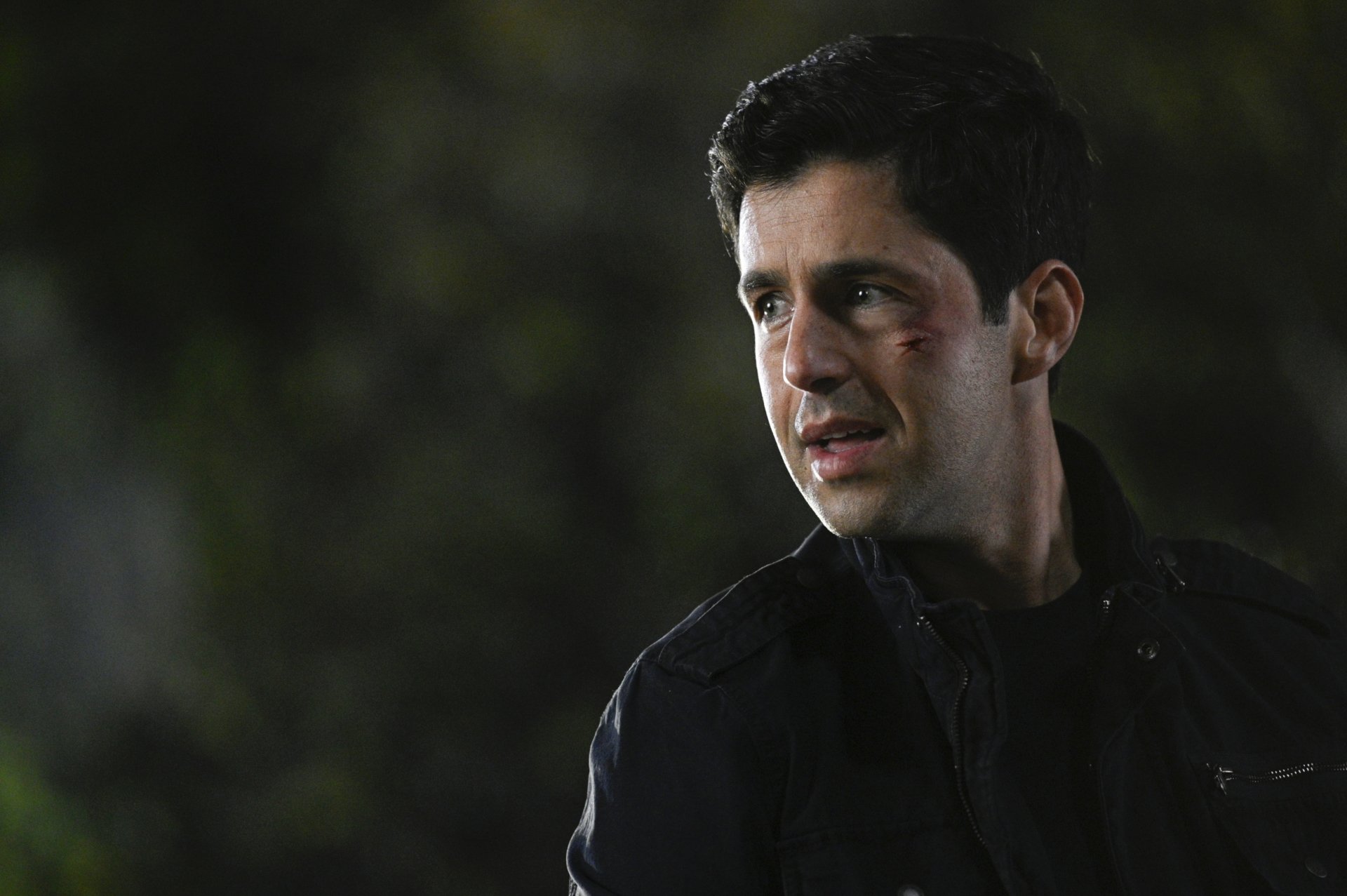 Download Josh Peck TV Show Turner & Hooch HD Wallpaper