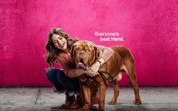 TV Show Turner & Hooch HD Desktop Wallpaper | Background Image