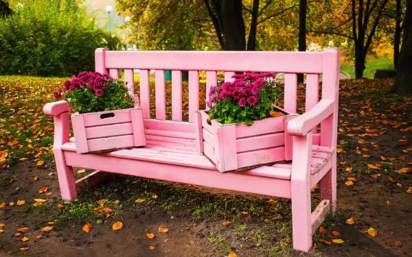 man made bench HD Desktop Wallpaper | Background Image