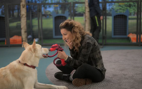 Vanessa Lengies TV Show Turner & Hooch HD Desktop Wallpaper | Background Image
