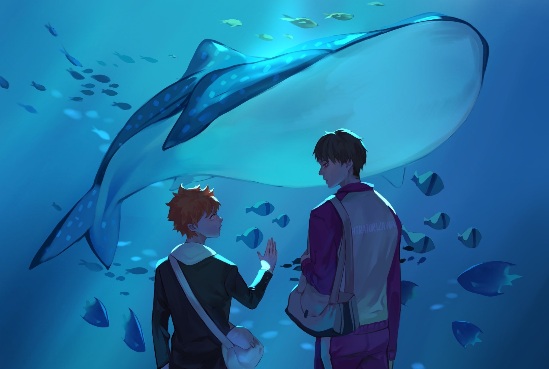Download Wakatoshi Uhijima Shōyō Hinata Anime Haikyū!! HD Wallpaper
