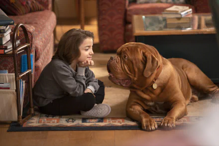 TV Show Turner & Hooch HD Desktop Wallpaper | Background Image