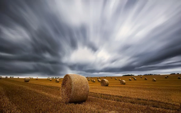 field nature haystack HD Desktop Wallpaper | Background Image