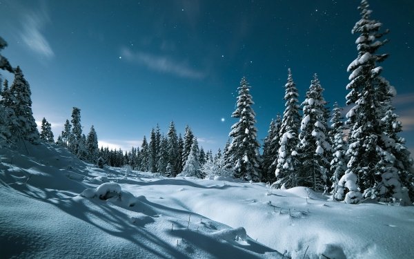Earth Winter Snow HD Wallpaper | Background Image