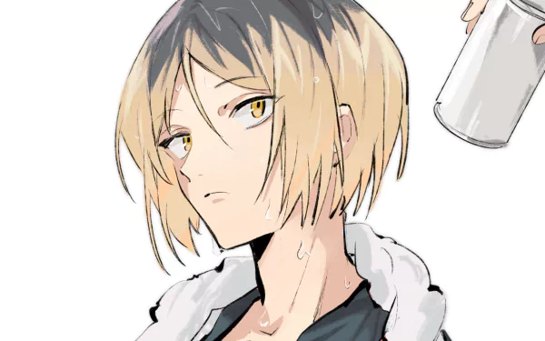 Kenma Kozume Anime Haikyū!! HD Desktop Wallpaper | Background Image