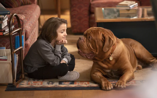 TV Show Turner & Hooch HD Desktop Wallpaper | Background Image