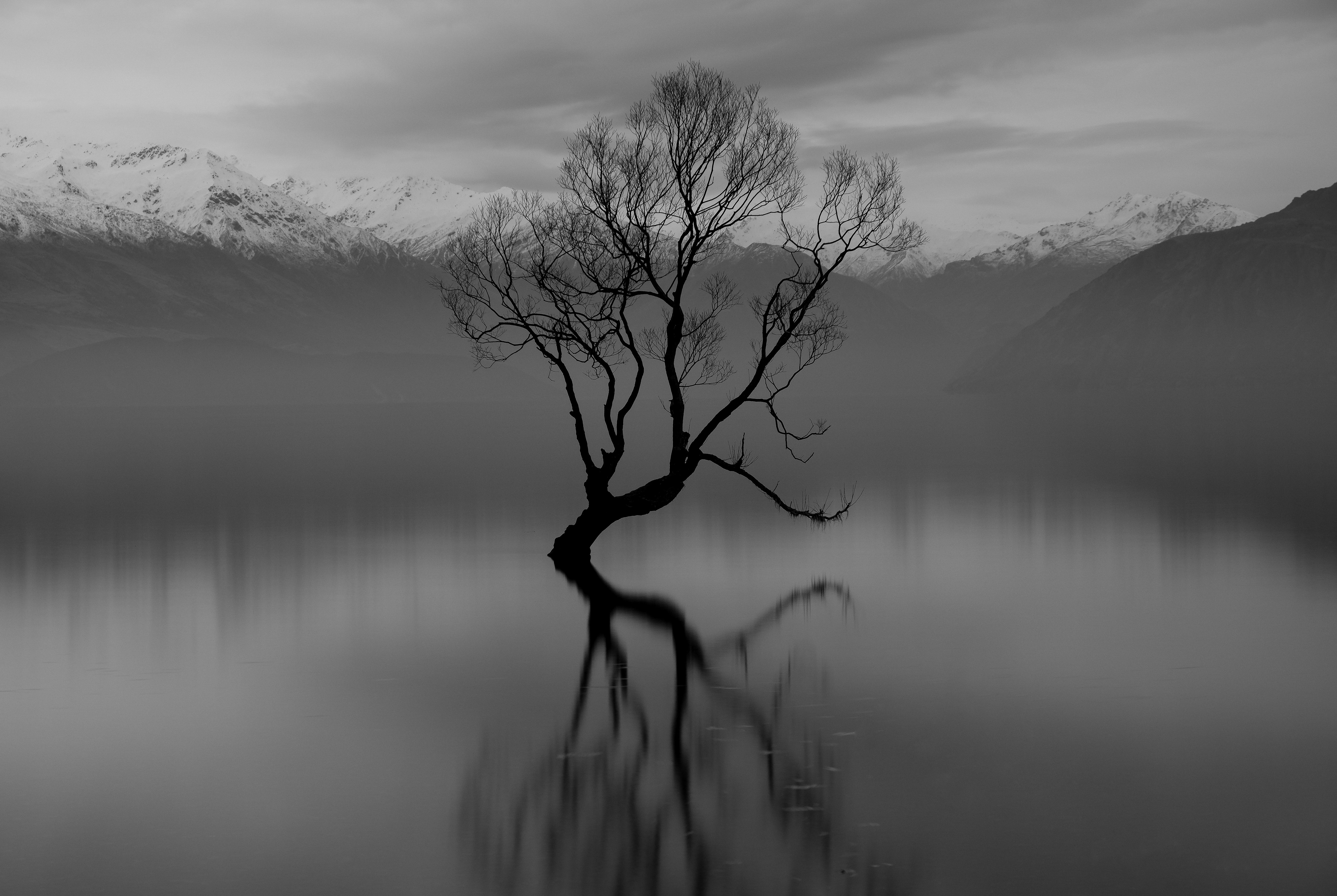 That Wānaka Tree, Lake Wānaka, Otago, New Zealand by Zac Porter
