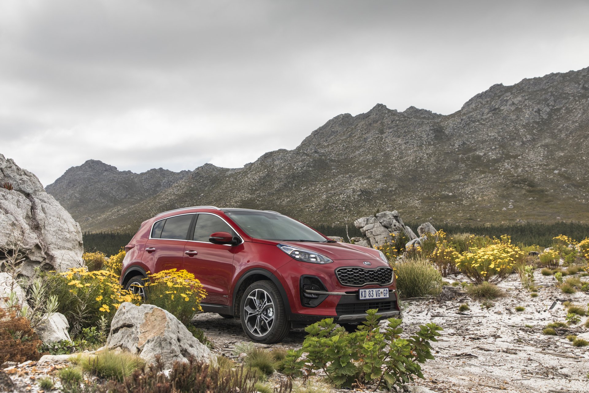Download SUV Kia Sportage 1.6 T-GDI GT Line Vehicle Kia Sportage 4k Ultra HD Wallpaper
