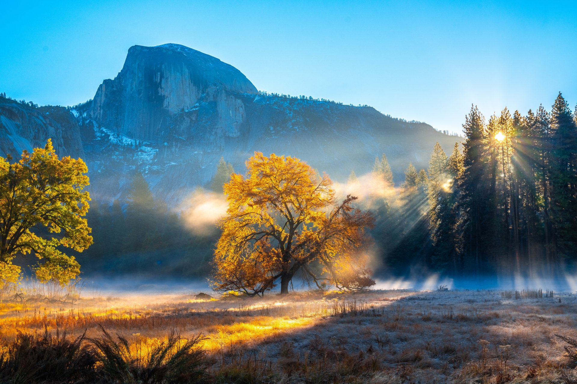 Sunbeam filters through trees at Yosemite National Park, USA, illuminating golden autumn foliage against a misty mountain backdrop in this 4K Ultra HD nature scene.