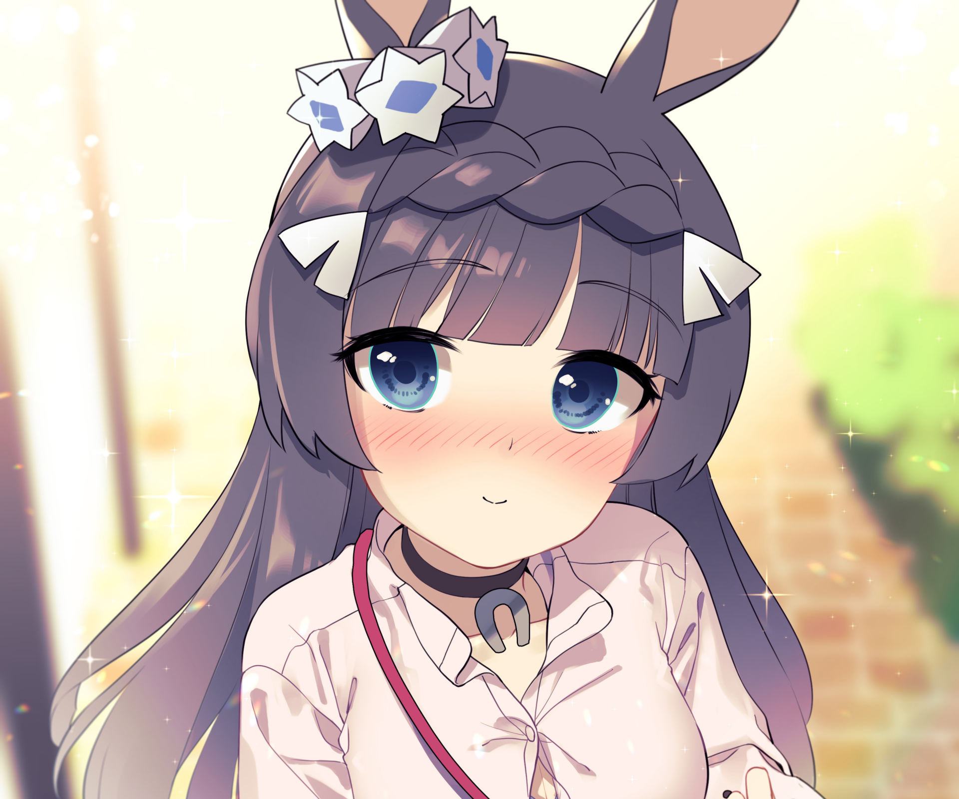 Download Zenno Rob Roy Anime Uma Musume: Pretty Derby HD Wallpaper