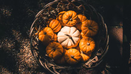 basket food pumpkin HD Desktop Wallpaper | Background Image