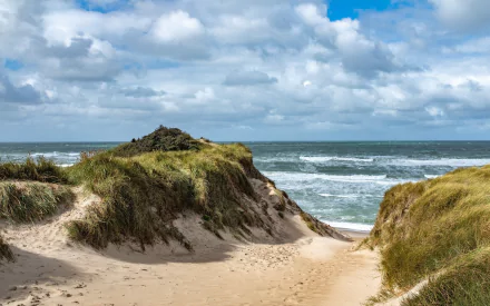 HD desktop wallpaper of a sandy beach pathway between grassy dunes leading to the sea under a partly cloudy sky, showcasing nature’s coastal beauty.