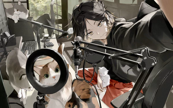 A cozy scene featuring Kenma Kozume from Haikyū!! with a playful cat, set in a detailed room with gaming equipment. This 4K Ultra HD wallpaper captures the essence of anime and companionship.