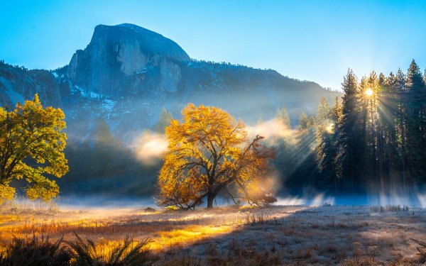 Earth Yosemite National Park National Park USA Sunbeam HD Wallpaper | Background Image