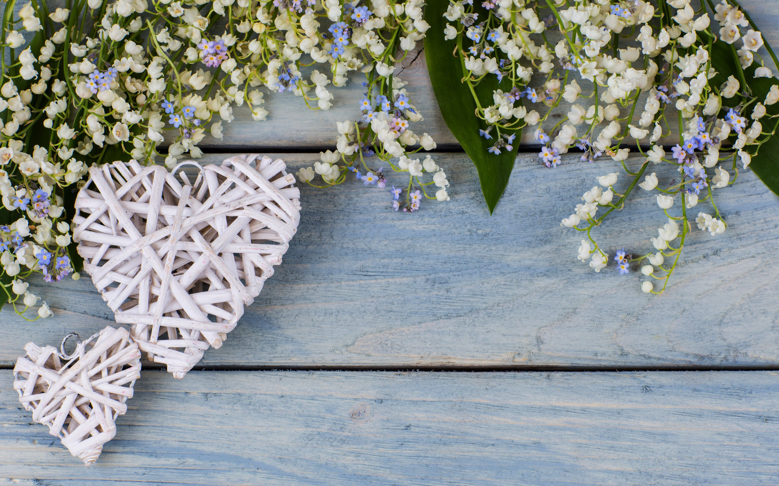 Holiday Valentine's Day HD Wallpaper | Background Image