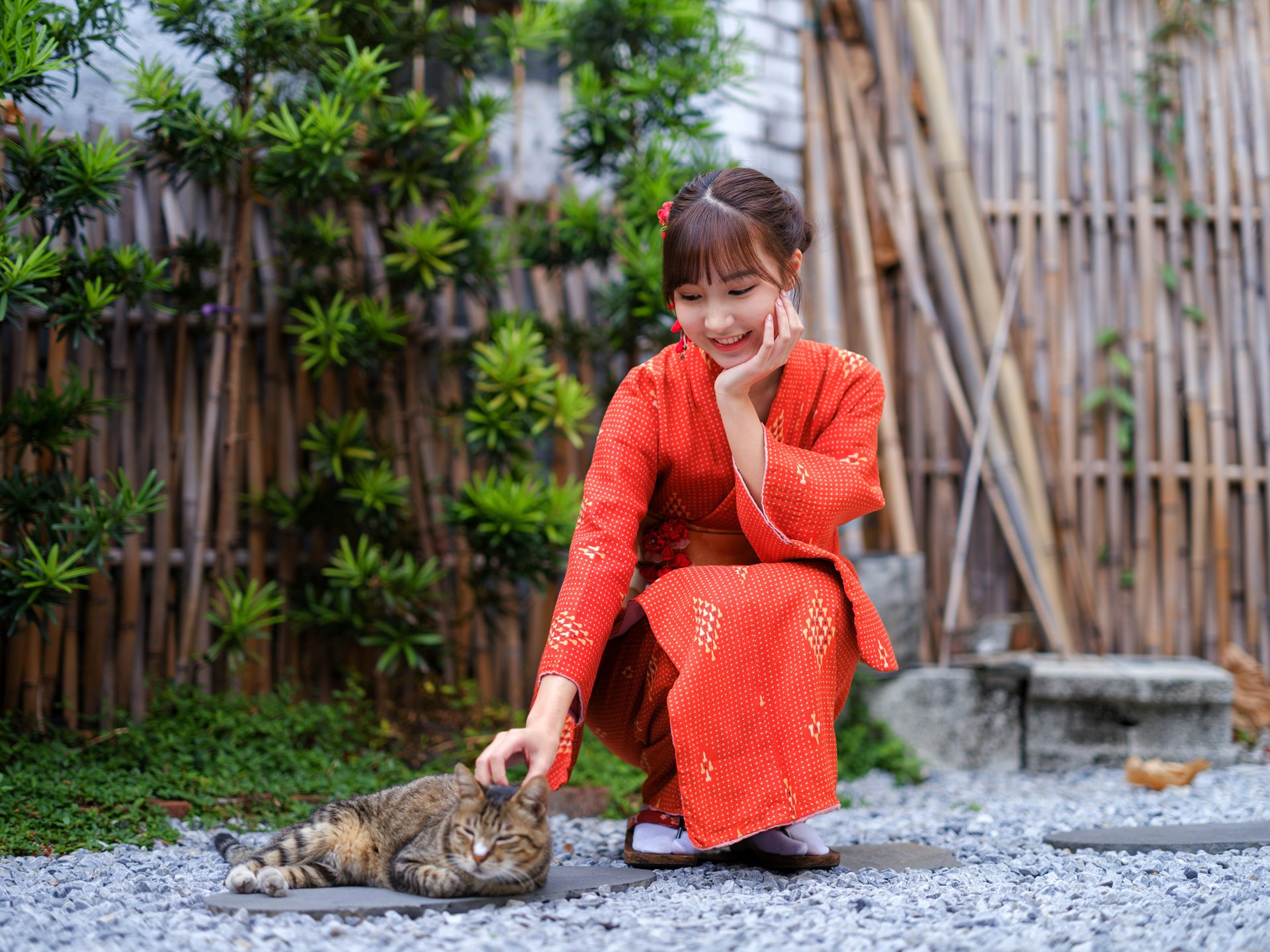 Woman in a red kimono crouches to pet a tabby cat in a bamboo garden; 4K Ultra HD PC desktop wallpaper and background.