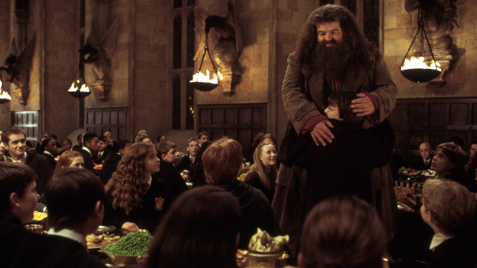 HD PC desktop wallpaper featuring Robbie Coltrane as Rubeus Hagrid with Harry Potter characters including Emma Watson as Hermione Granger and Bonnie Wright as Ginny Weasley from Harry Potter and the Chamber of Secrets.