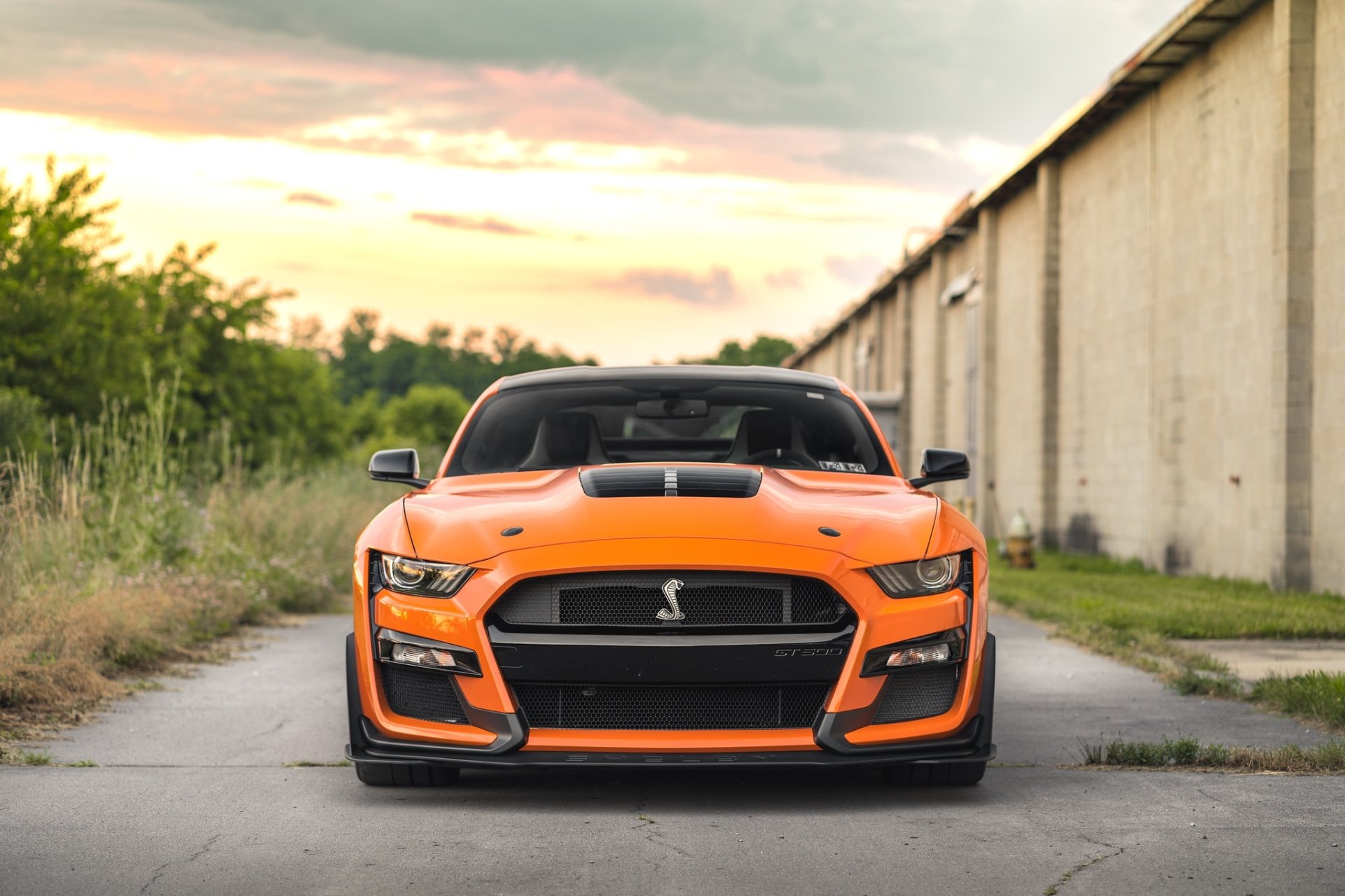 Download Muscle Car Vehicle Ford Mustang Shelby GT500 HD Wallpaper