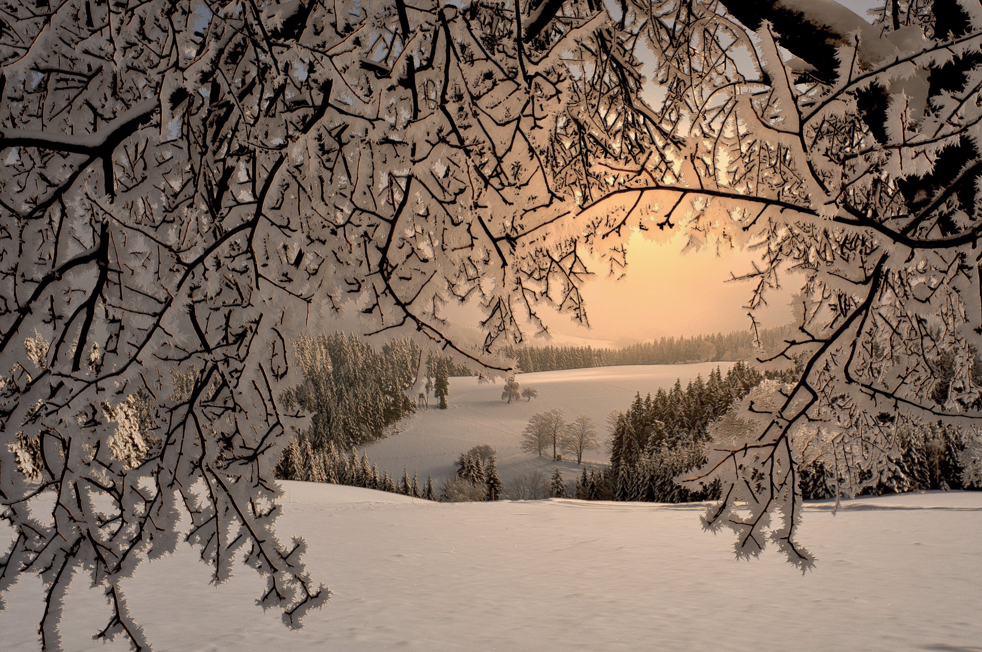 Snowfall in the Forest by Mariandl48