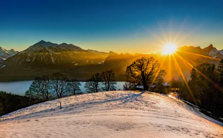 Sunset over snow-covered Swiss Alps with silhouetted trees and clear sky, captured in stunning 4K Ultra HD for a vibrant nature desktop wallpaper.