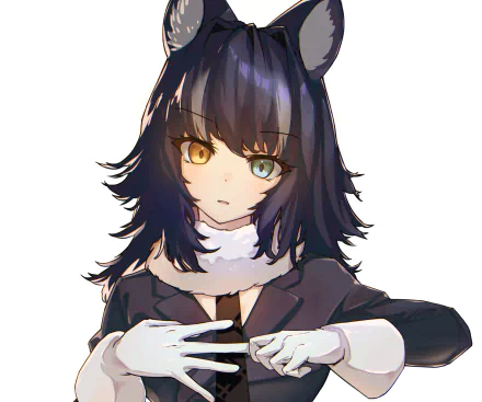 heterochromia Grey Wolf (Kemono Friends) Anime Kemono Friends HD Desktop Wallpaper | Background Image