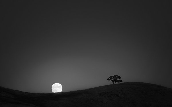 Earth Night Moon HD Wallpaper | Background Image