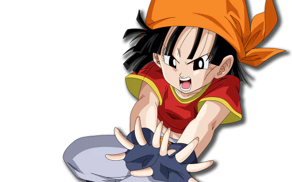 Pan (Dragon Ball) Anime Dragon Ball GT HD Desktop Wallpaper | Background Image