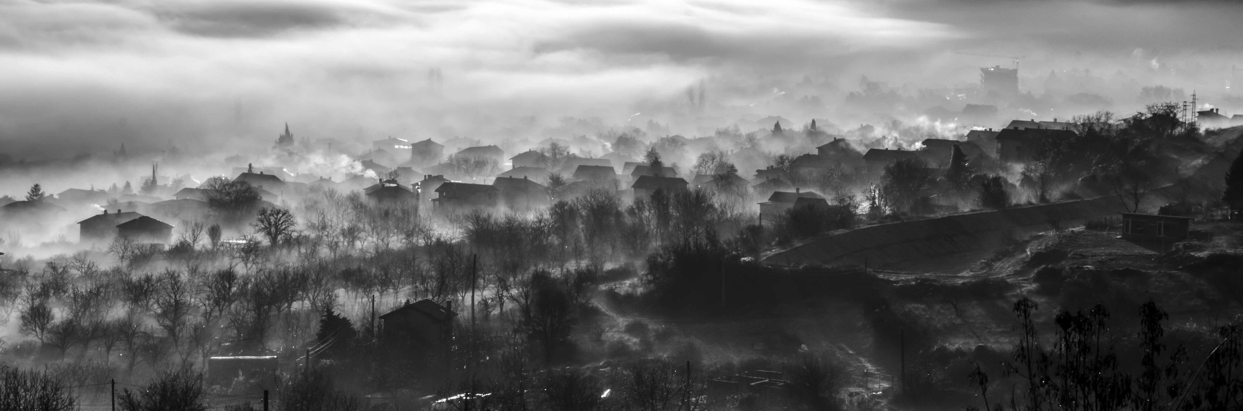 Misty Morning in Bulgaria by Diana Metodieva