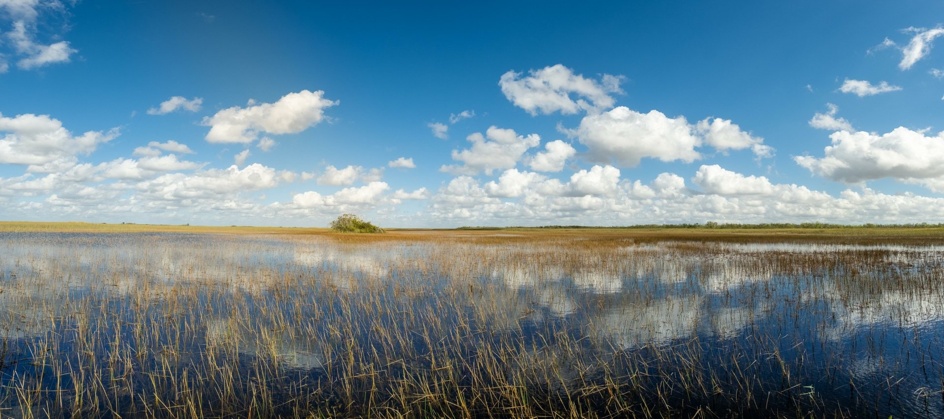 4K Everglades National Park Papéis de Parede | Planos de Fundo