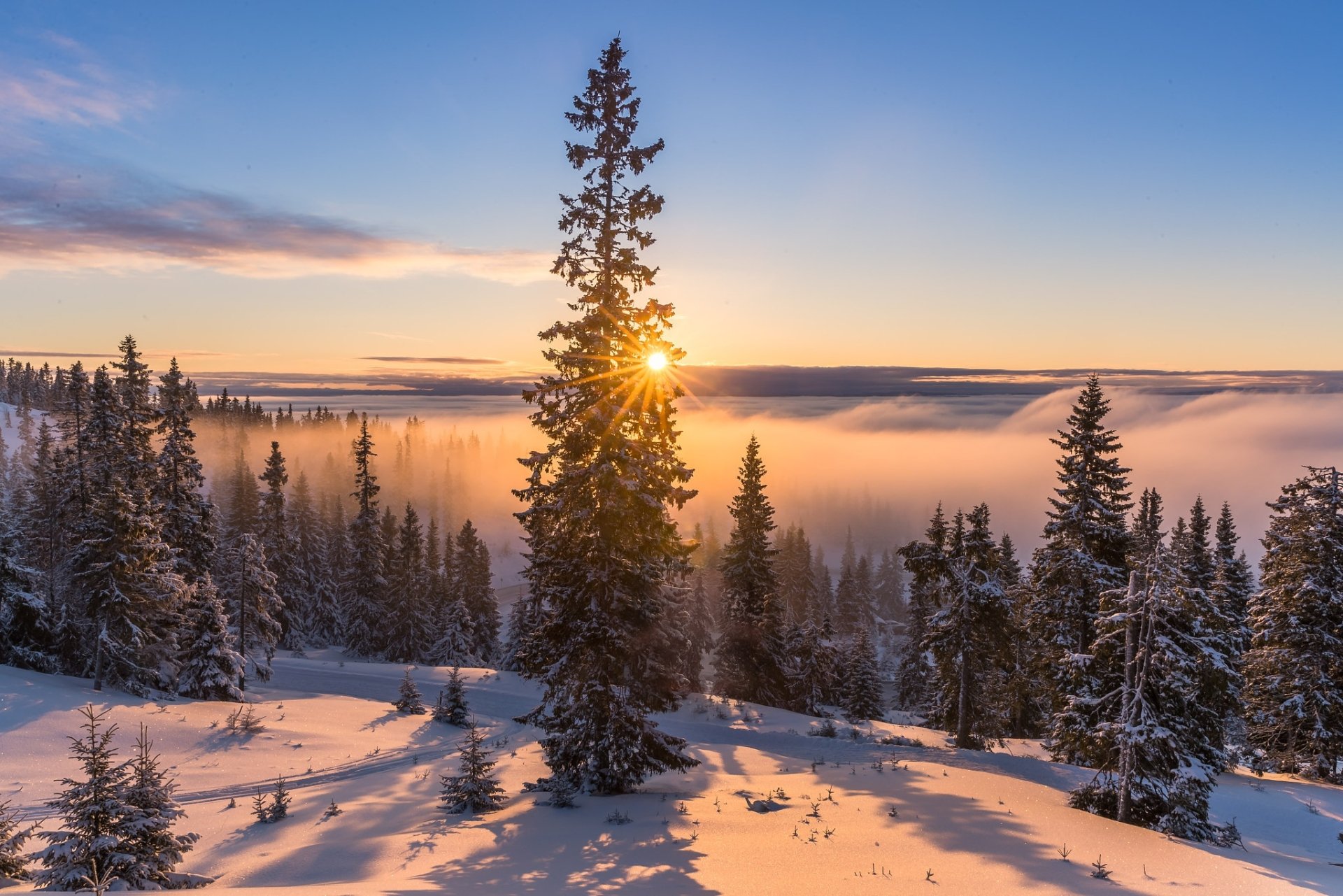 Download Sea Of Clouds Nature Sunrise HD Wallpaper by Jørn Allan Pedersen