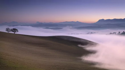 sea of clouds nature fog HD Desktop Wallpaper | Background Image