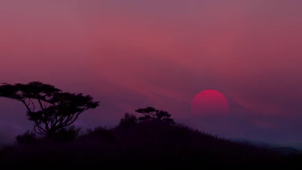 A 4K Ultra HD PC desktop wallpaper showcasing a vivid red sunset over silhouetted trees in a serene natural landscape.