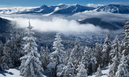 Snow-covered trees stand against a backdrop of the Austrian Alps under a clear blue sky, captured in a stunning 4K Ultra HD winter landscape.
