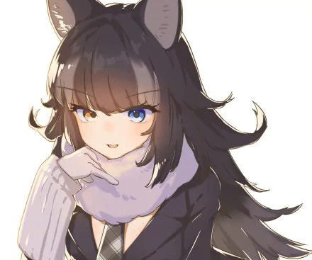 heterochromia Grey Wolf (Kemono Friends) Anime Kemono Friends HD Desktop Wallpaper | Background Image